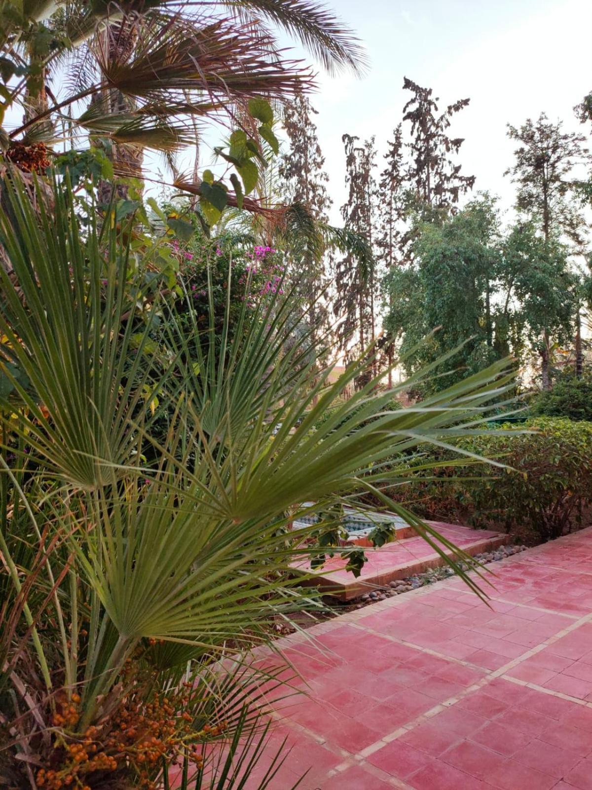 Riad Sheherazade Marrakech マラケシュ エクステリア 写真